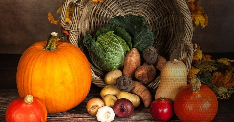 alimentazione-verdure-nutrienti-frutta-ciclismo-bici-integratori