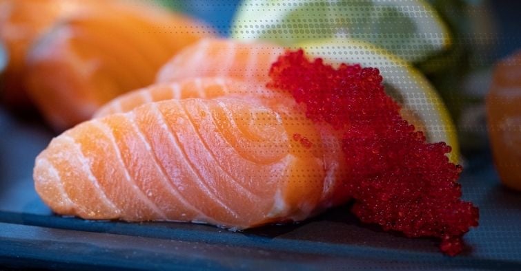 grassi-omega_3-salmone-pesce-ciclismo